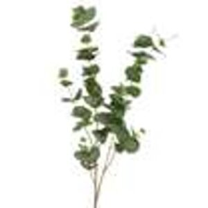 Spray eucalypthus op steel with snow finis groen L33xw8xh98cm